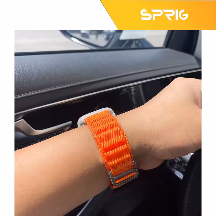 بند اسپریگ مدل Loop Alpine مناسب برای اپل واچ Series 4 Aluminum 40mm