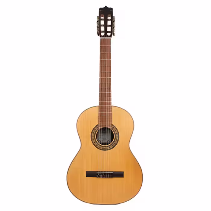 گیتار پارسی مدل Parsi K120