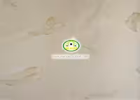 کاغذ دیواری نوجوان طرح پرآلبوم برندون (BRANDON) کد:7764