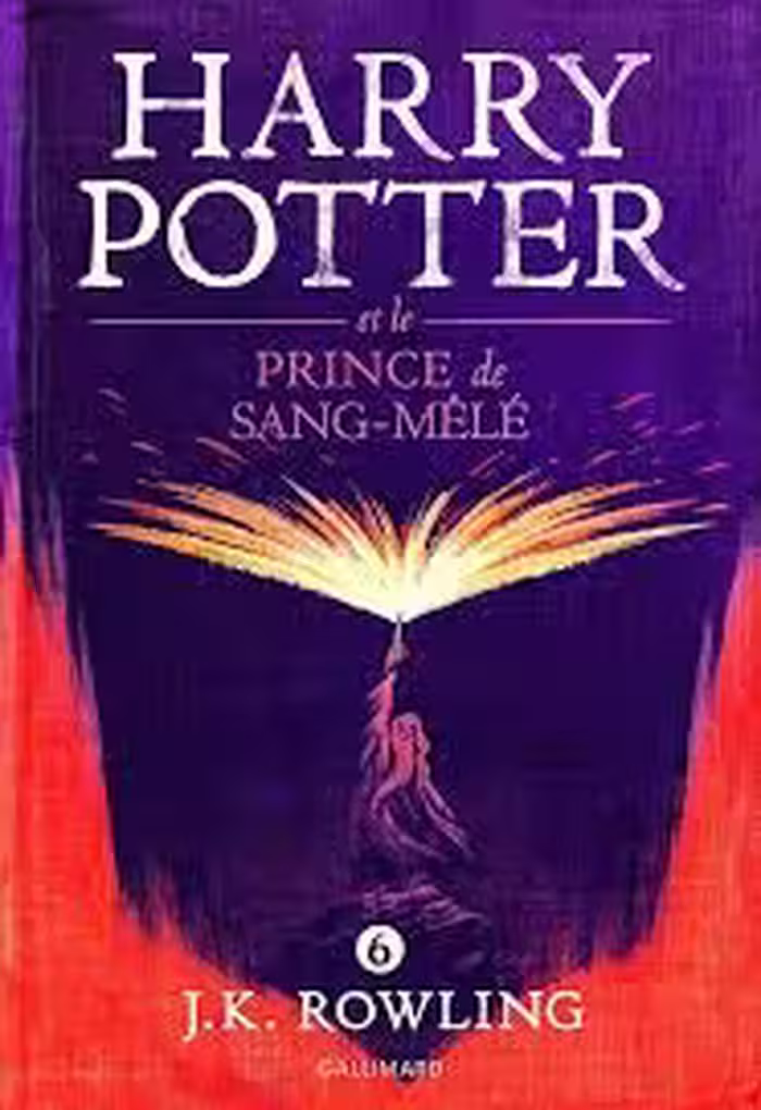 رمان فرانسوی Harry Potter et Le Prince De Sang mele