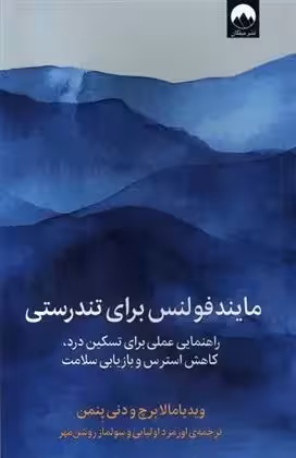 کتاب مایندفولنس برای تندرستی اثر ویدیامالا بریچ نشر میلکان