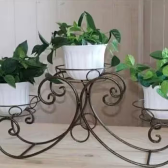 استند گل مدل پیچک(پسکرایه)