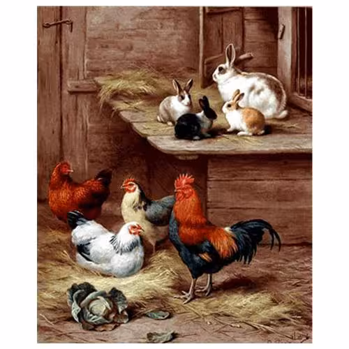 حیوانات مدل مرغ وخروس کد 26059