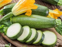 بذر کدو خورشتی سمینس F1