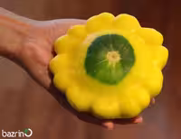 بذر کدو حلوایی رقم ستاره ای زرد