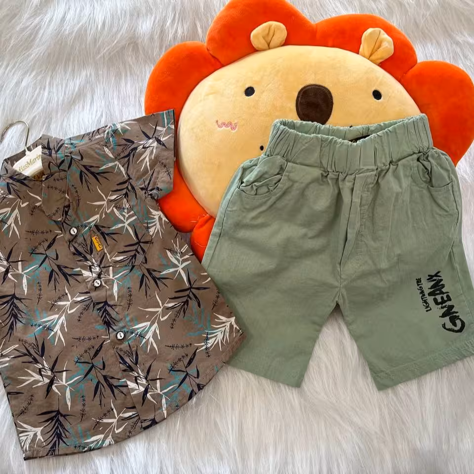 تیشرت شلوارک  پسرانه .سایز یک تا شش سال  پسرانه هاوایی