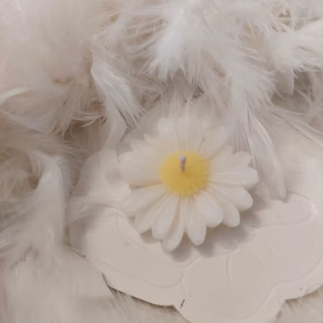 شمع گل مارگاریت و استند گل