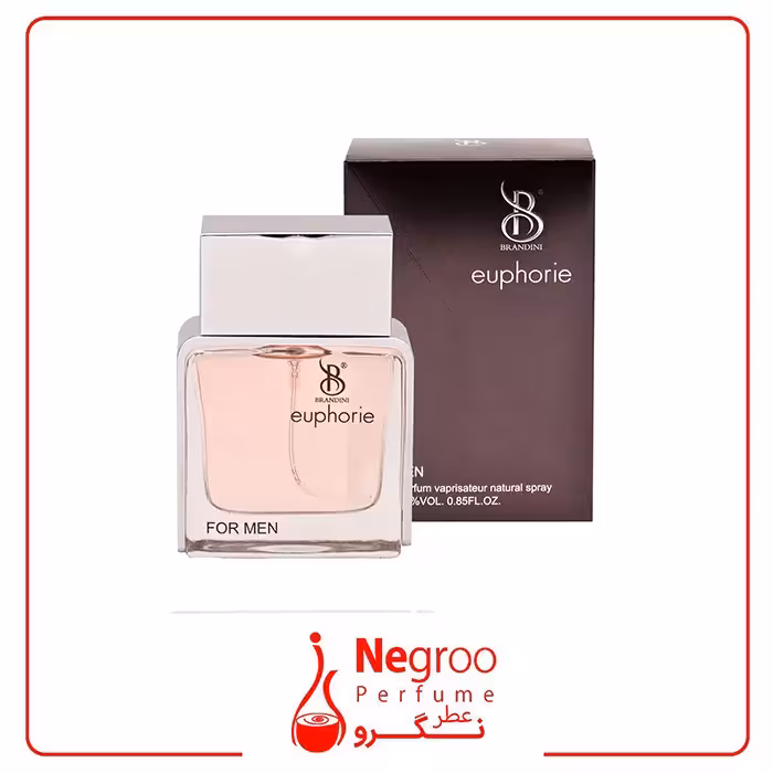 عطر جیبی مردانه برندینی مدل euphorie حجم 25 میلی لیتر