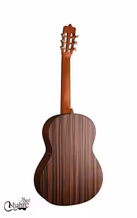 گیتار کلاسیک پارسی مدل D3