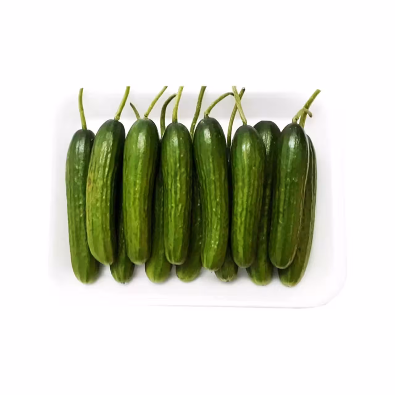 خیار بوته ای ممتاز 1000 گرمی
