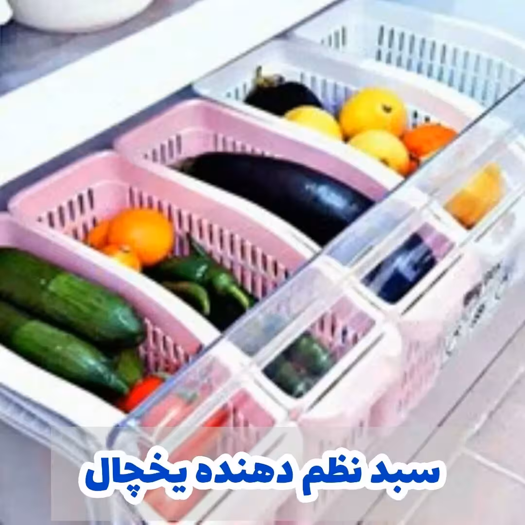 سبد نظم دهنده یخچال