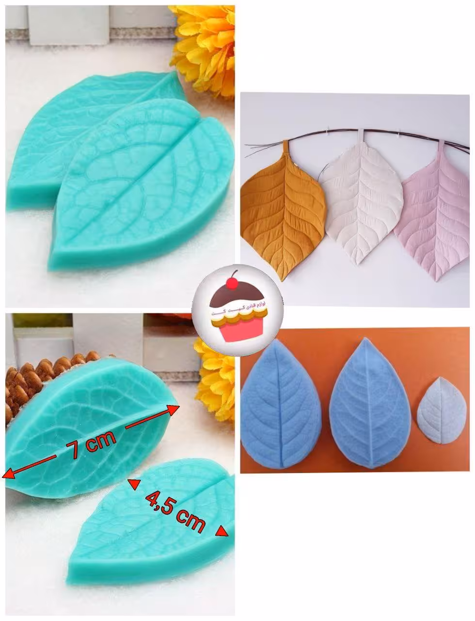 وینر برگ دو عددی