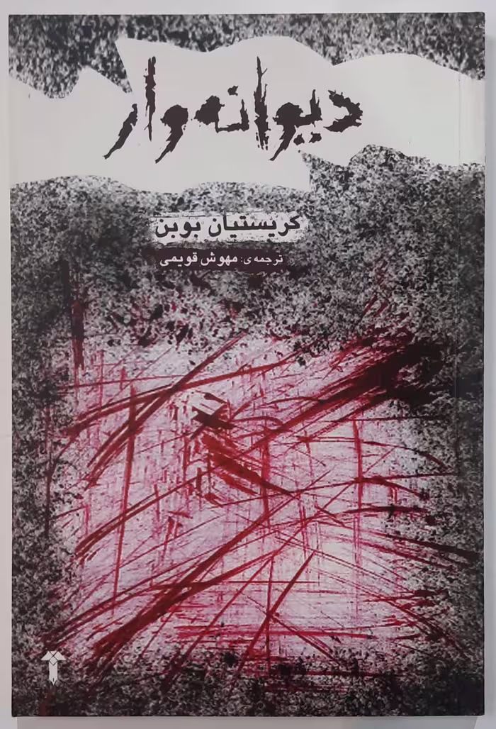 کتاب رمان دیوانه وار
