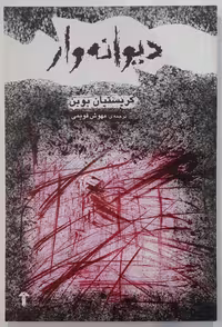 کتاب رمان دیوانه وار