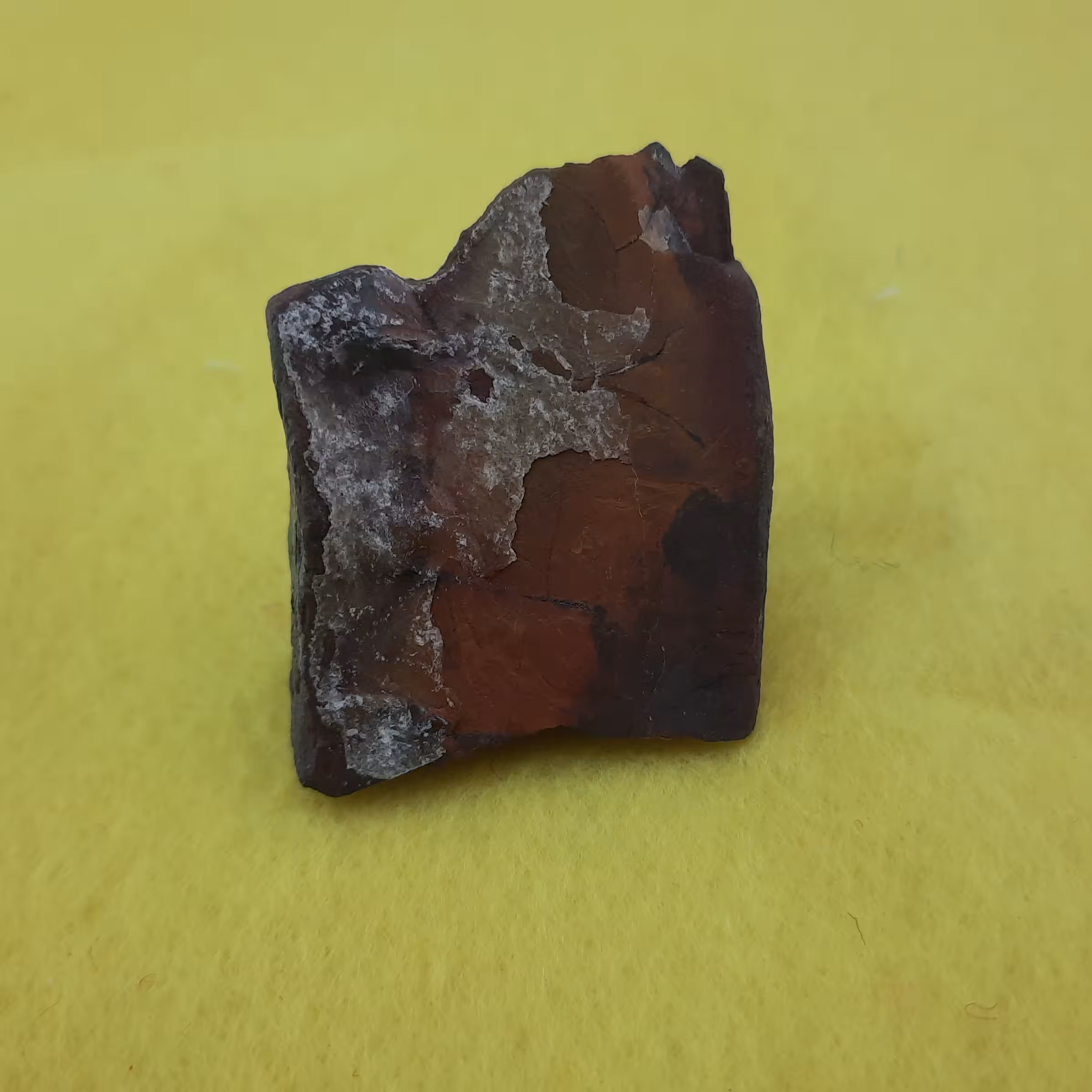 مجموعه سنگی پنج عددی کد کلکسیون32 پلاک صدف گرد با نقاشی ویترای پیرولوزیت یا شجر کالکوپیریت قطعه کنکرسیون  فلوریت