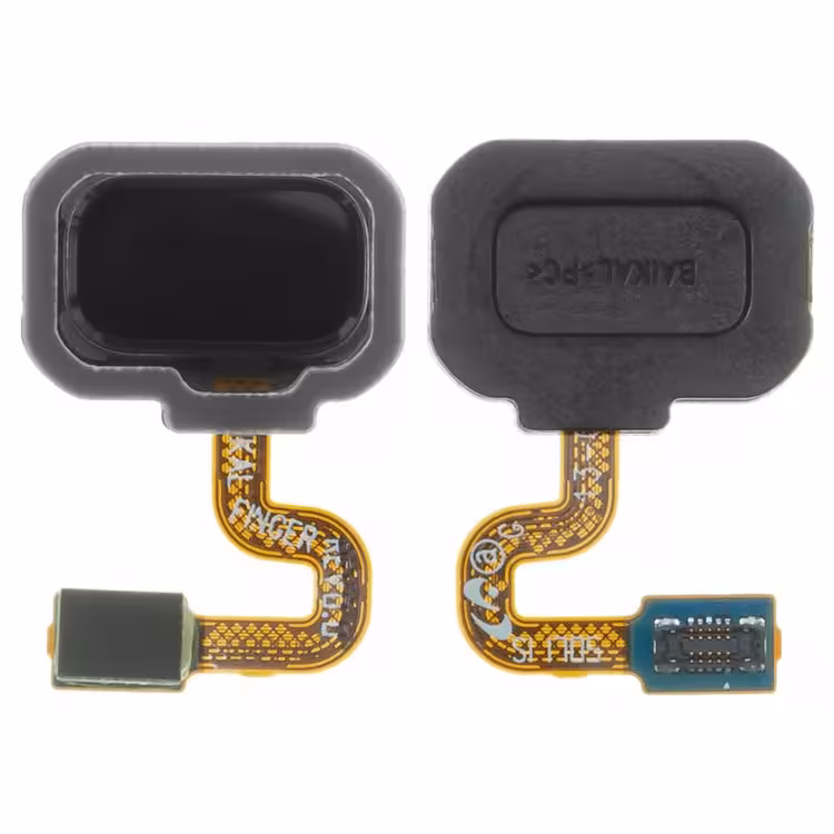 FLAT NOTE 8 FINGER BLACK SAM