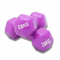 دمبل ایروبیک 2.5 کیلویی رکورد Record