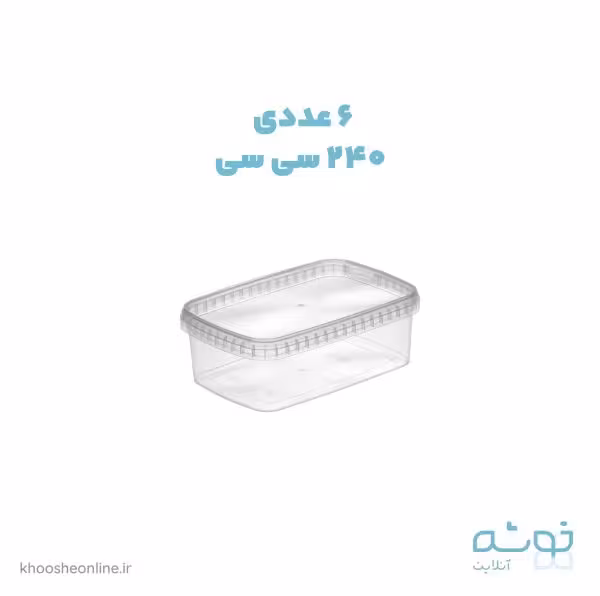 ظرف 240CC پیکنیک (بسته 6 عددی)
