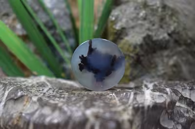 عقیق شجر برزیل