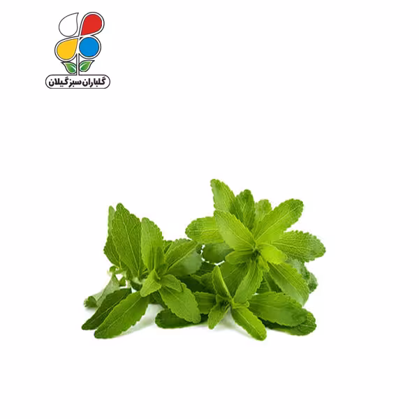 بذر استویا