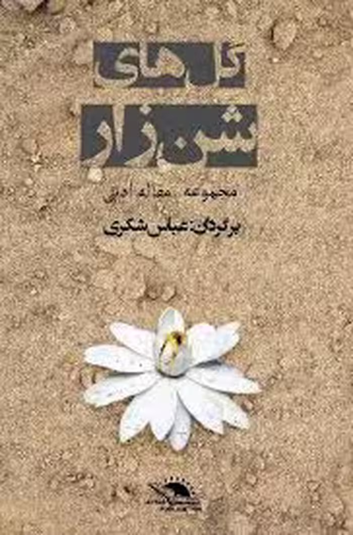 گل های شن زار: مجموعه مقاله ادبی
