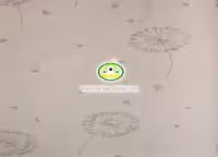 کاغذ دیواری نوجوان قاسدک آلبوم برندون (BRANDON) کد:7745