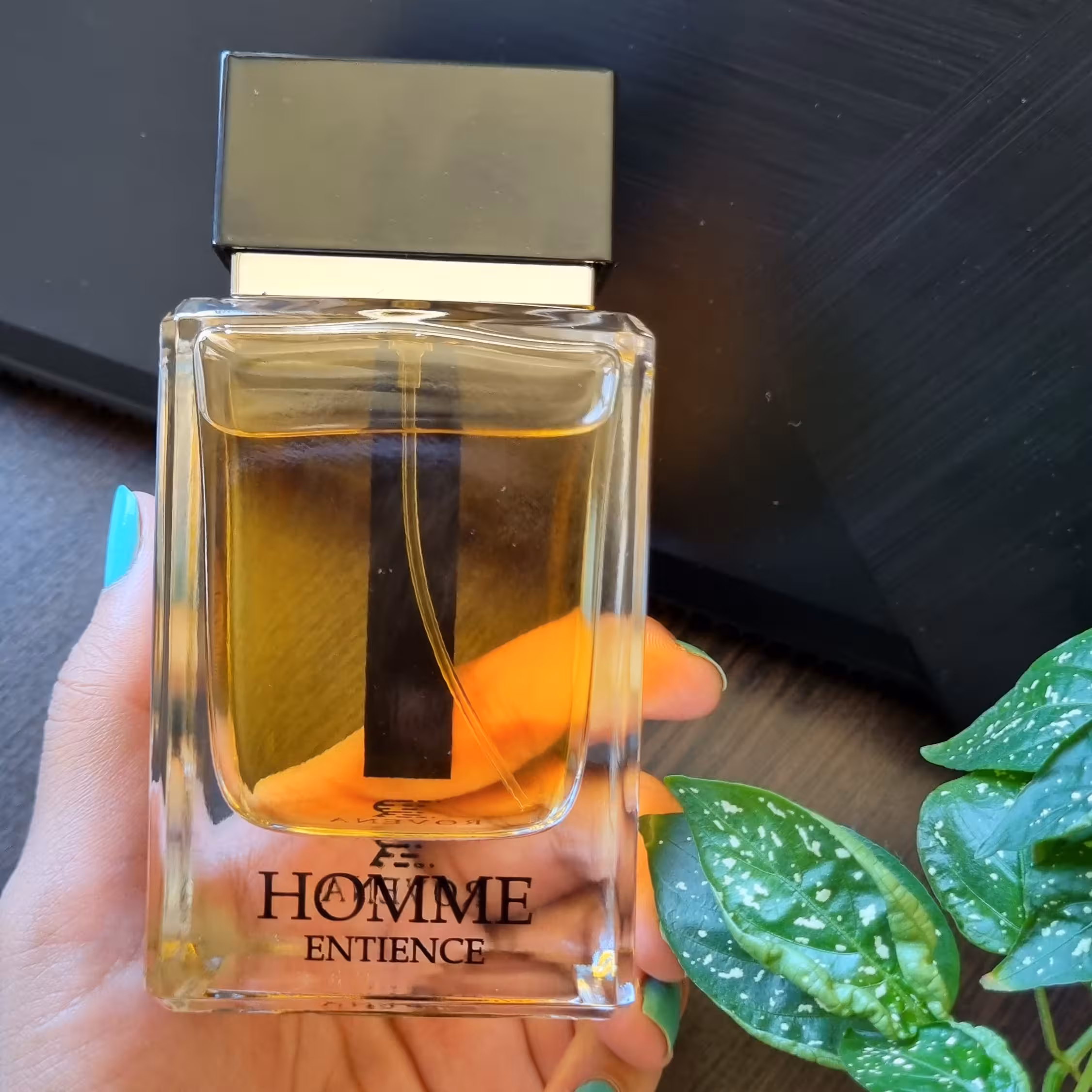 عطر ادکلن دیور هوم اینتنس مردانه 100 میل