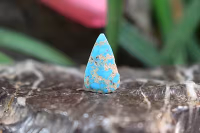 فیروزه نیشابور