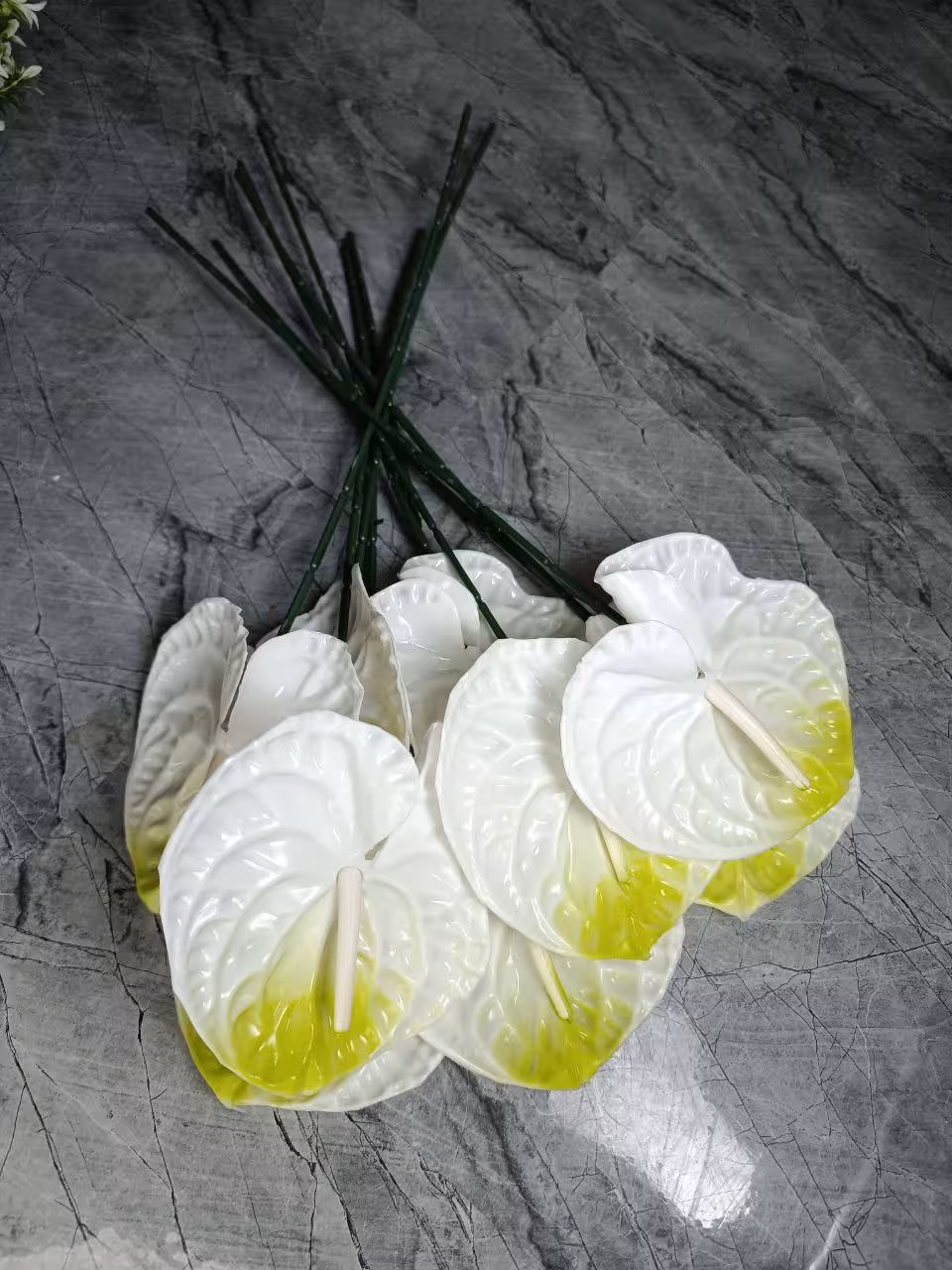 آنتوریوم لمسی 10 شاخه