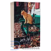کتاب آواز پاییز اثر مژگان زارع انتشارات برکه خورشید