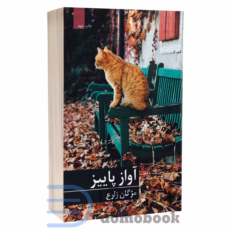 کتاب آواز پاییز اثر مژگان زارع انتشارات برکه خورشید