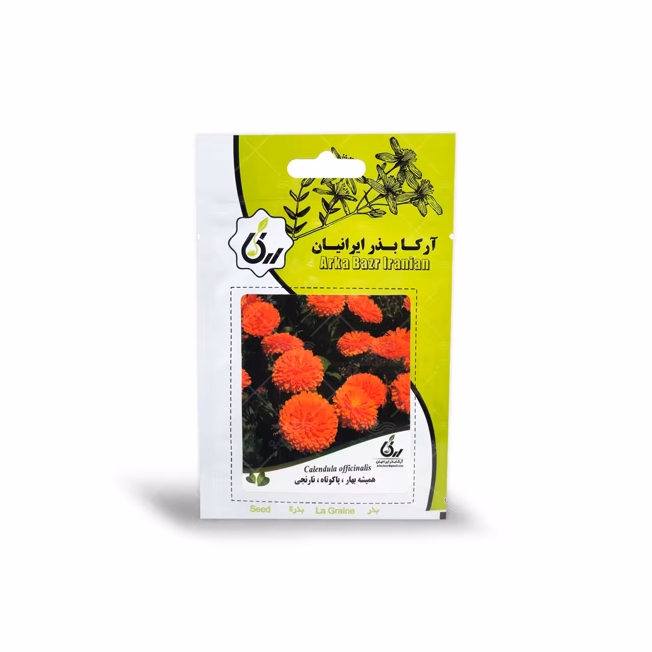 بذر گل همیشه بهار پاکوتاه نارنجی آرکا بذر ایرانیان