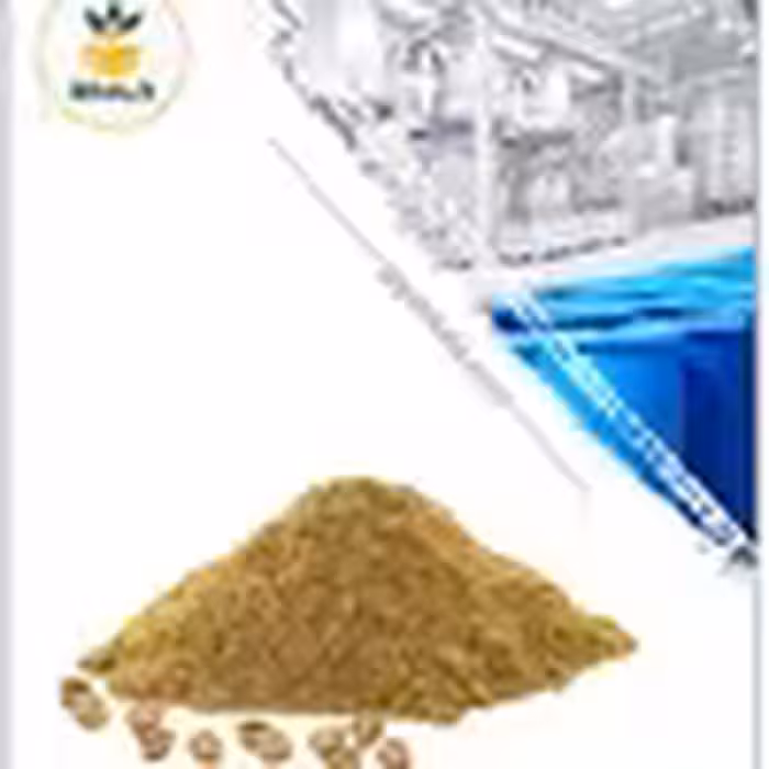 عصاره زنیان خشک (پودری)