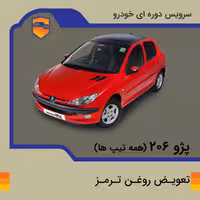تعویض روغن ترمز  پژو 206 با دستگاه در تهران