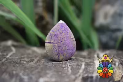 استیچ تیت (اتلانتیسیت)