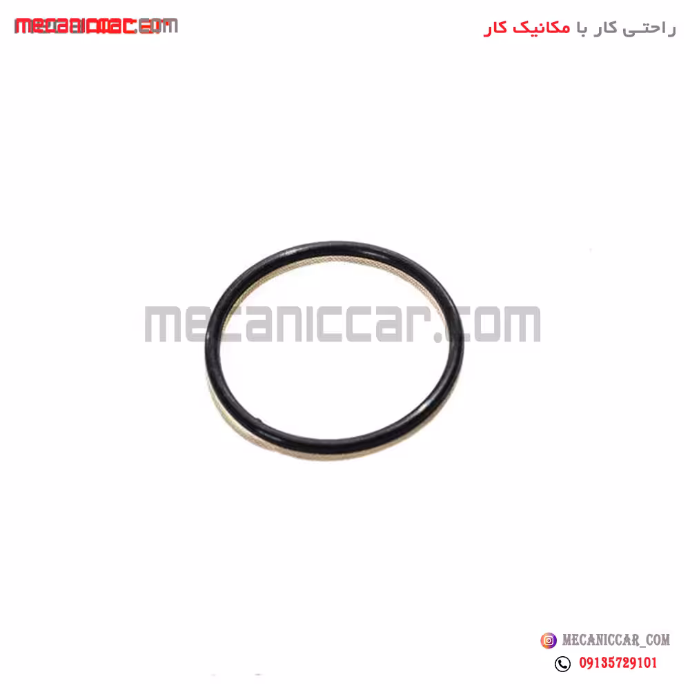 اورینگ سه راهی پمپ اب (واتر پمپ) تیپ 2 پژو 206 ارادپارت