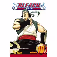 Bleach v10