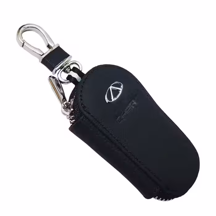  کیف ریموت خودرو مدل P-01