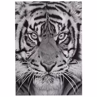 تابلو نقاشی سیاه قلم طرح ببر مدل جذاب کد 6