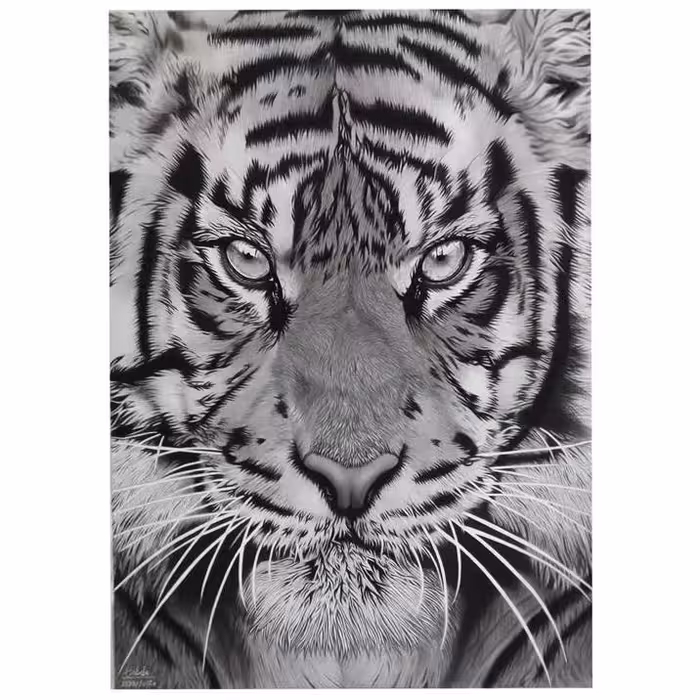 تابلو نقاشی سیاه قلم طرح ببر مدل جذاب کد 6