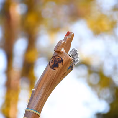 سه تار ایران ساز مدل رها