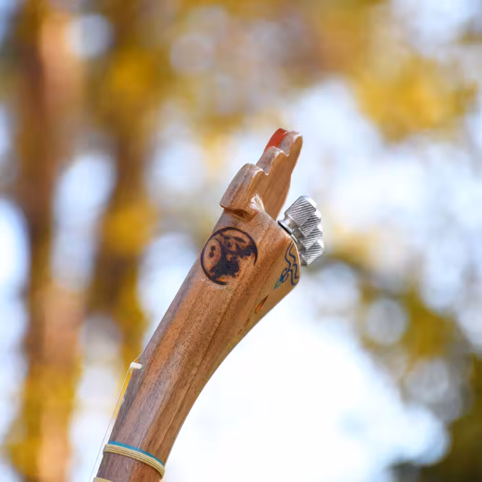 سه تار ایران ساز مدل رها