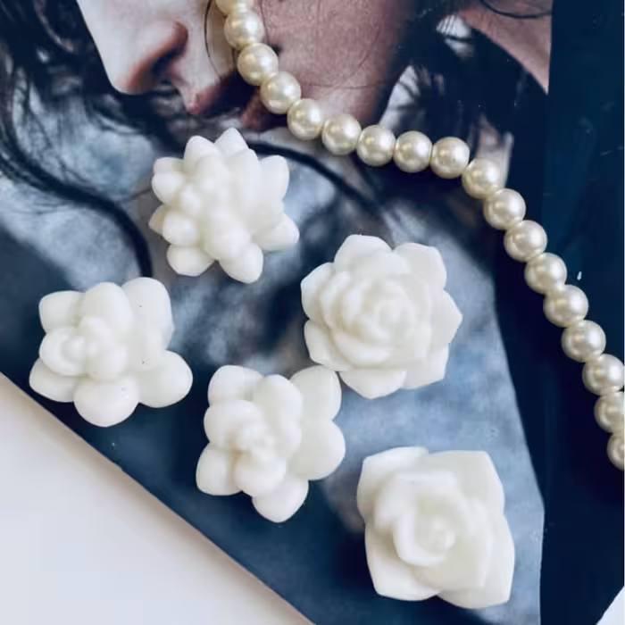 قالب شمع مدل کاکتوس مینیاتوری 5 تایی