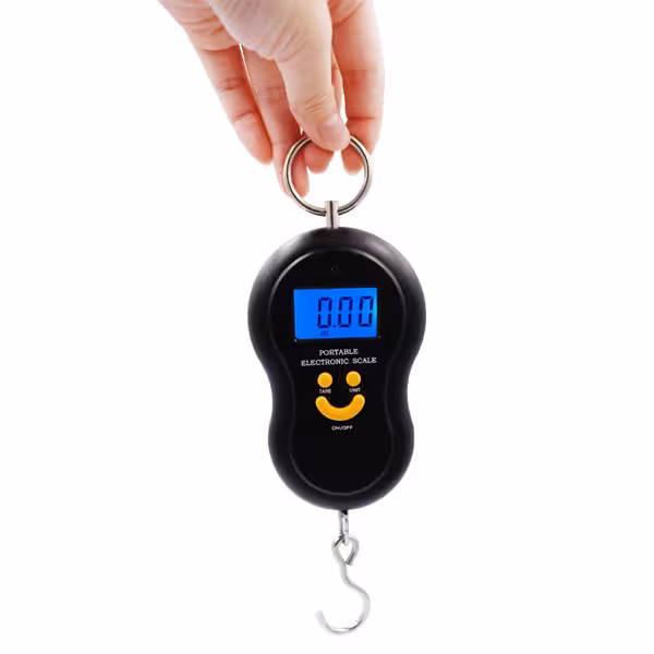 ترازو دستی دیجیتال پرتابل دارای نور پس زمینه