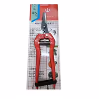 قیچی باغبانی  میوه بر چینی پایه کوتاه قیمت عمده 