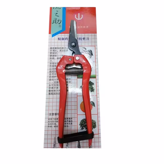 قیچی باغبانی  میوه بر چینی پایه کوتاه قیمت عمده 