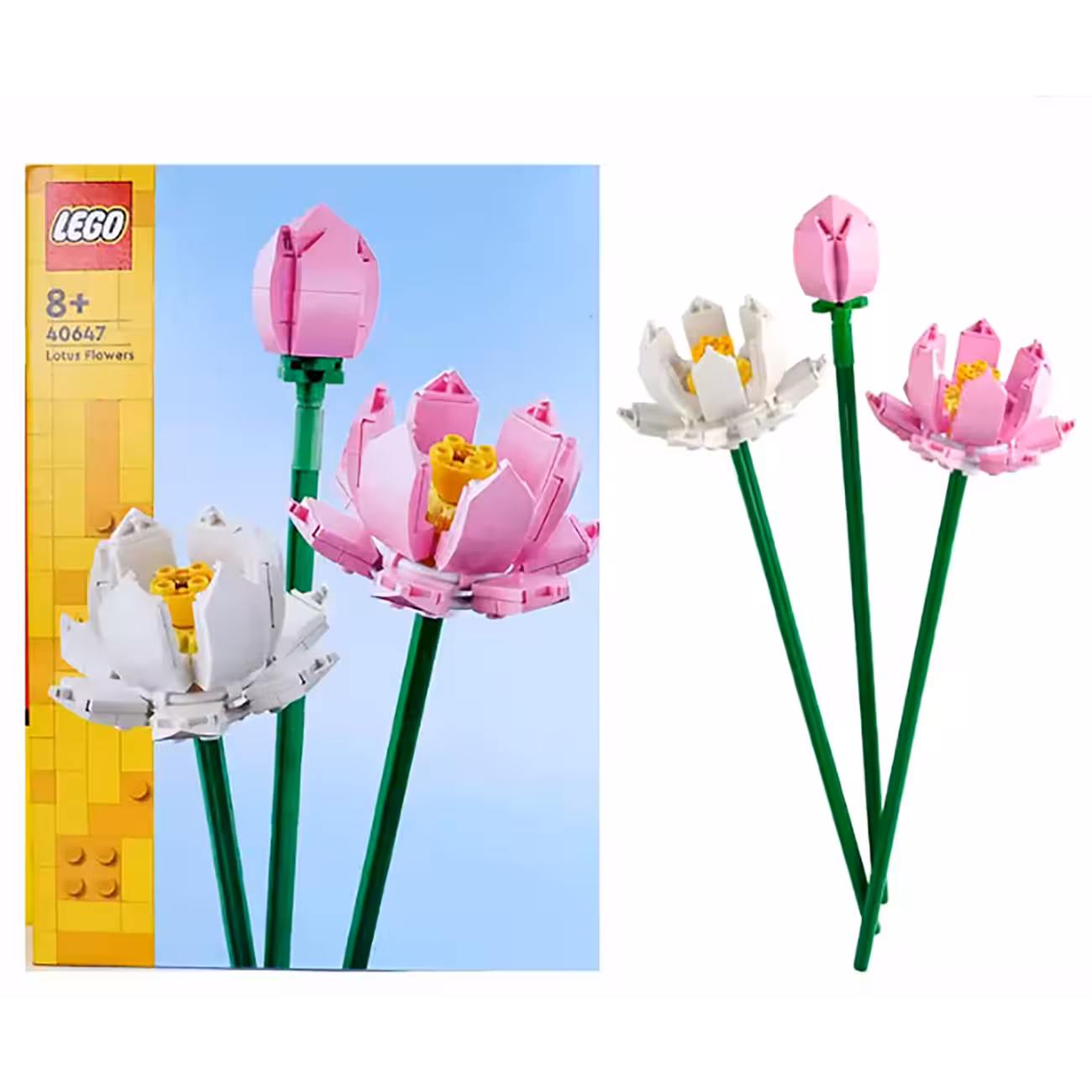 لگوی آیکون نیلوفر زیبا 40647