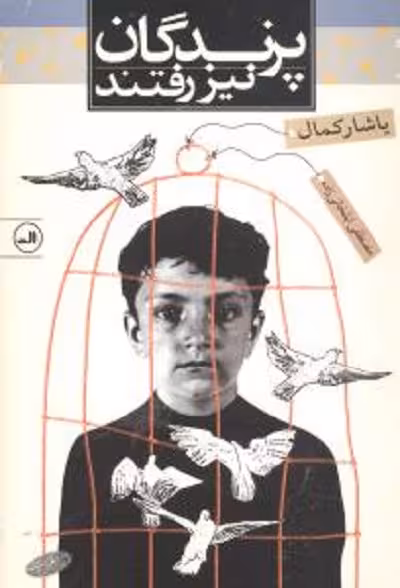 پرندگان نیز رفتند