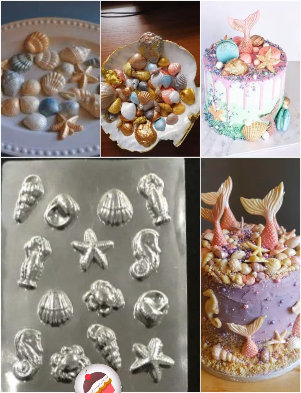 طلق شکلات طرح صدف و ستاره دریایی
