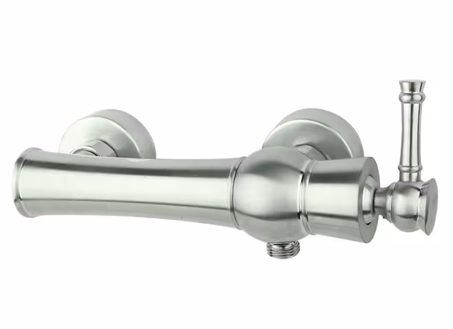 شیر توالت الیزه راسان (کروم مات)